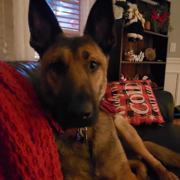 kyrykmom